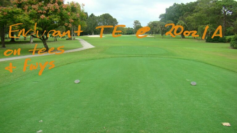 Lawn Paint Endurant Turf Enhancer, golf course tee box