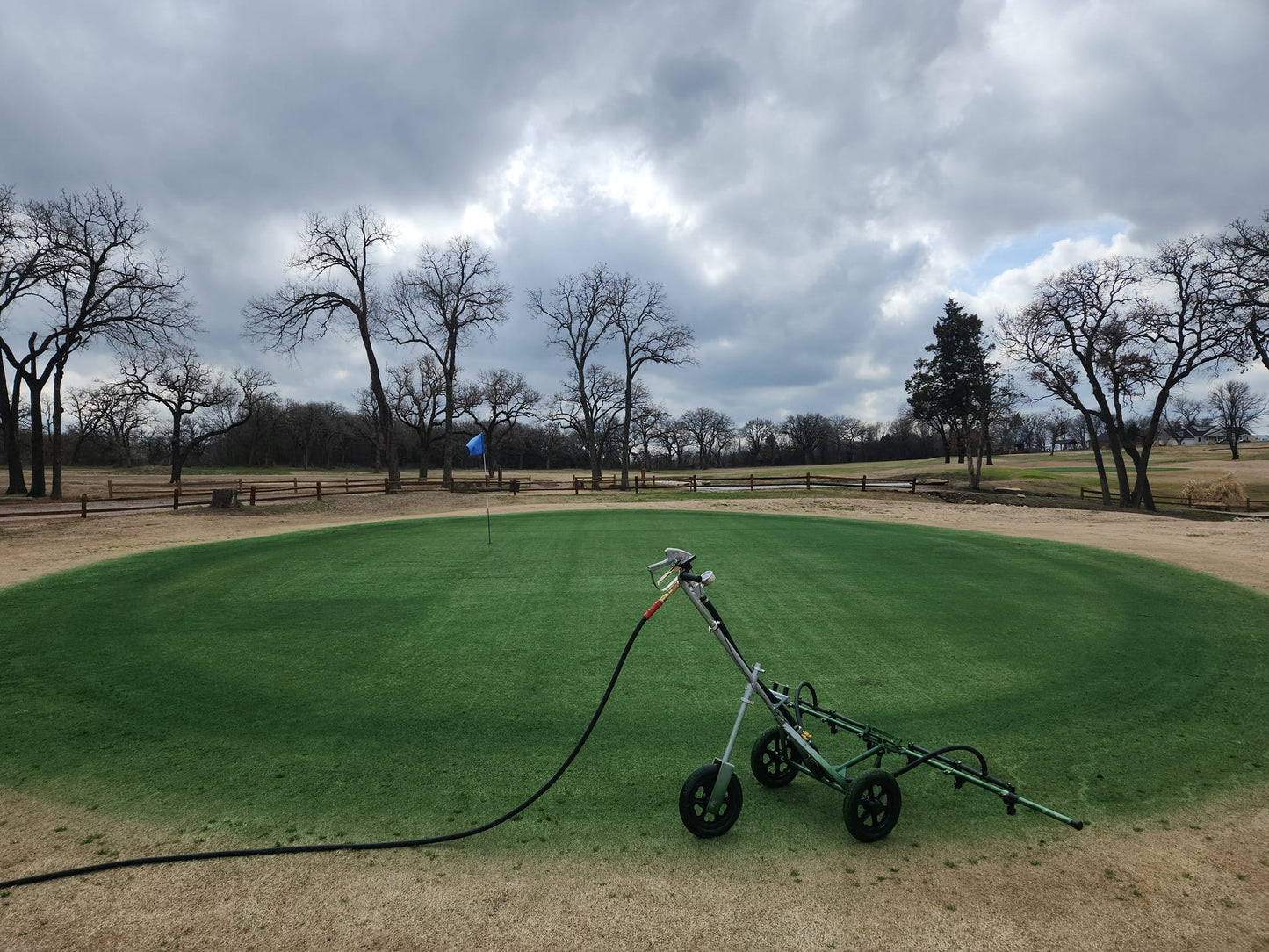 Lawn Paint, Endurant Perennial Rye, golf green 