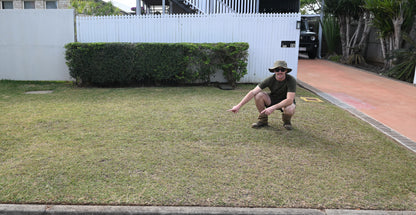 Lawn Paint, Endurant Perennial Rye, before spray 