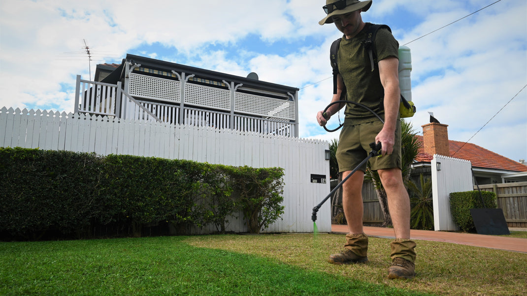 Book Now LawnPaint Australia