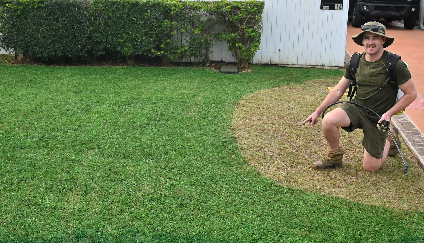 LawnPaint and Mulch Mega Sale bundle