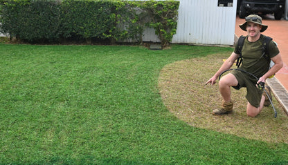 LawnPaint and Mulch Mega Sale bundle