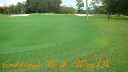 Lawn Paint Endurant Turf Enhancer, golf course fairway rough 