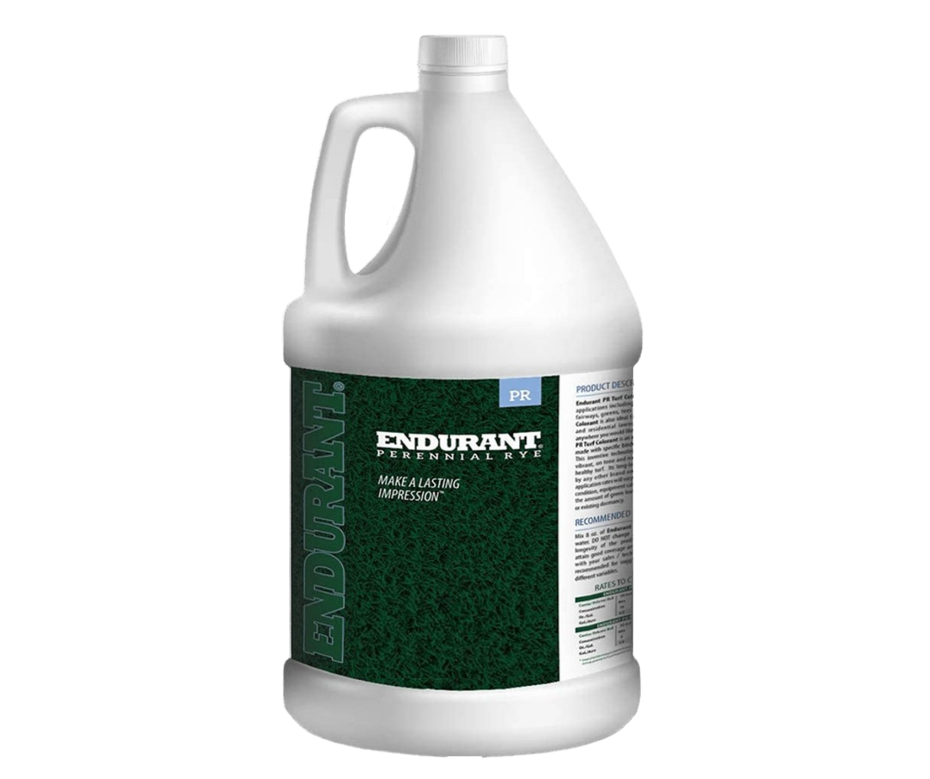 Lawn Paint, Endurant Perennial Rye, Front package 