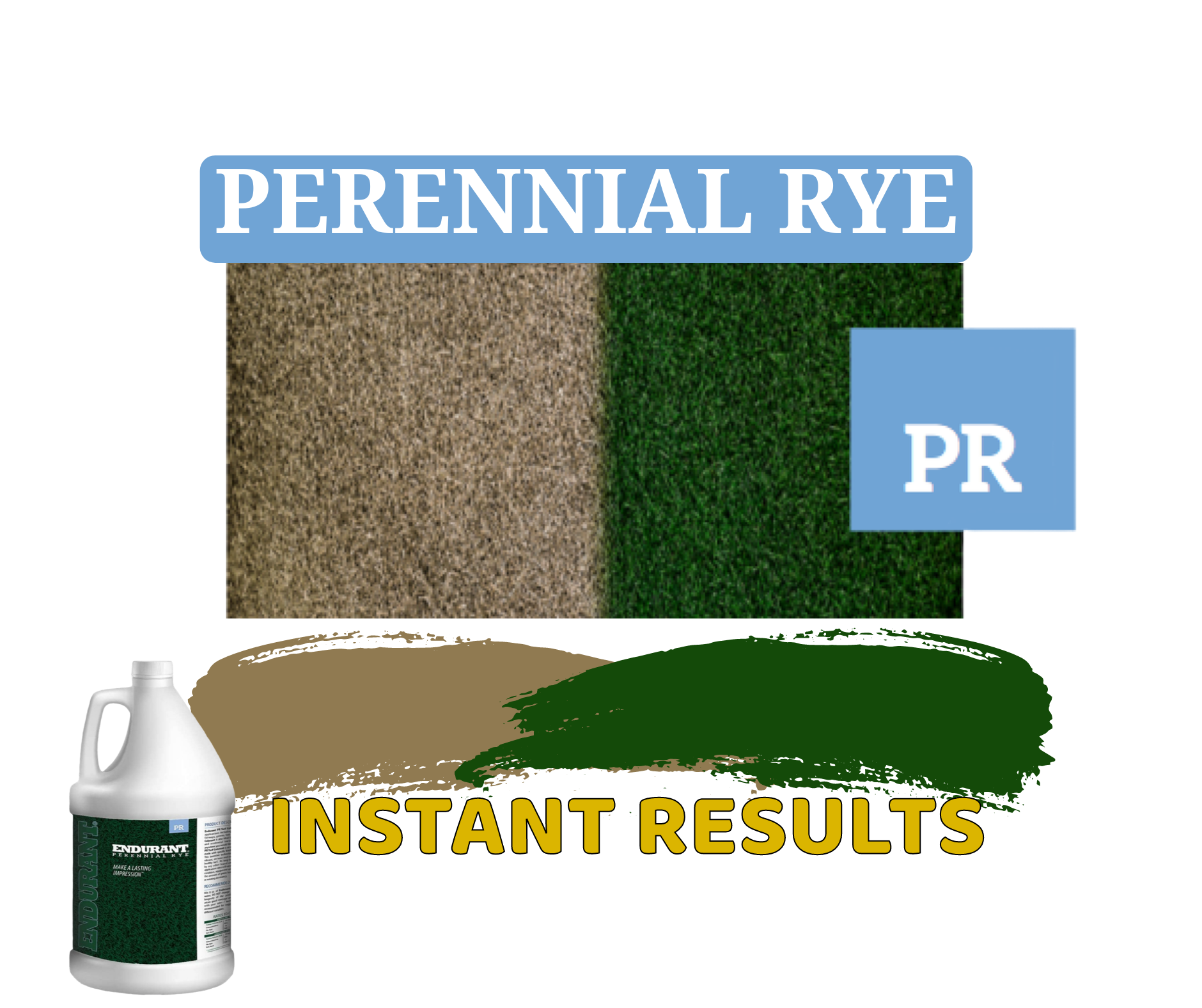 Lawn Paint, Endurant Perennial Rye, colours 