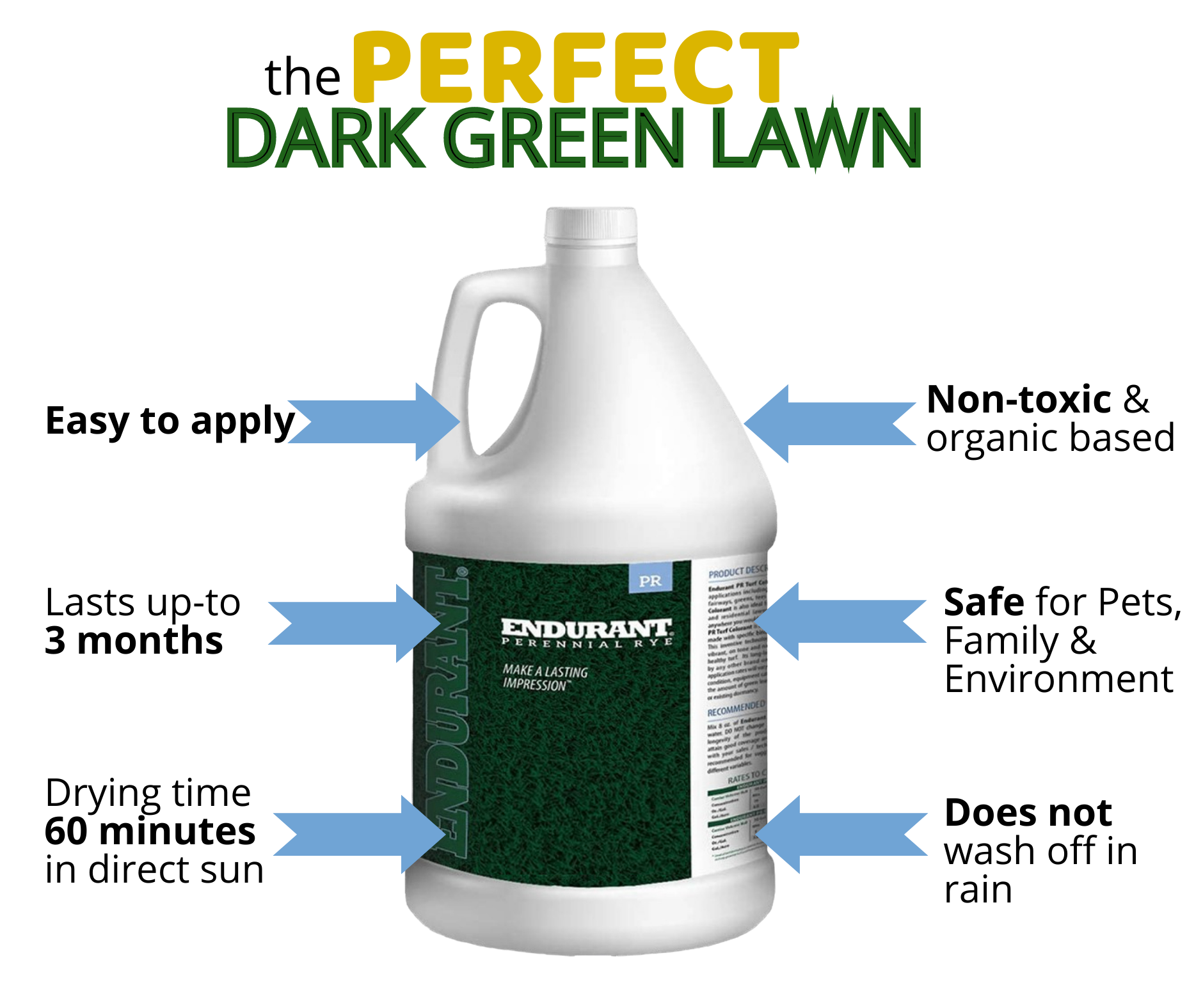 Lawn Paint, Endurant Perennial Rye, info 