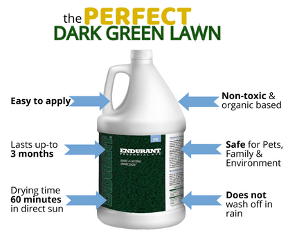 Lawn Paint, Endurant Perennial Rye, info 