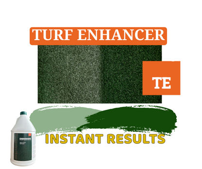 Lawn Paint Endurant Turf Enhancer, colour 