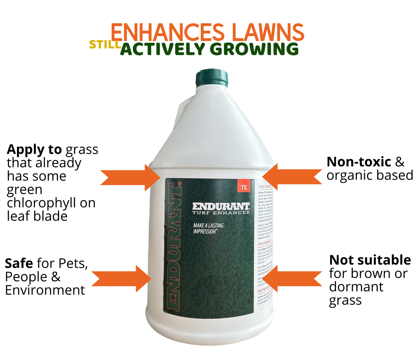 Endurant Turf Enhancer LawnPaint Australia