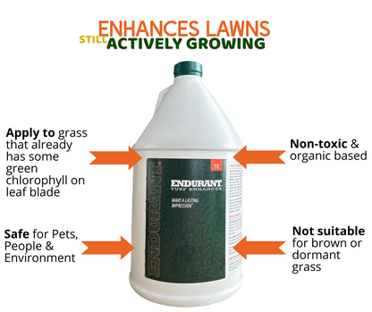 Lawn Paint Endurant Turf Enhancer, info 